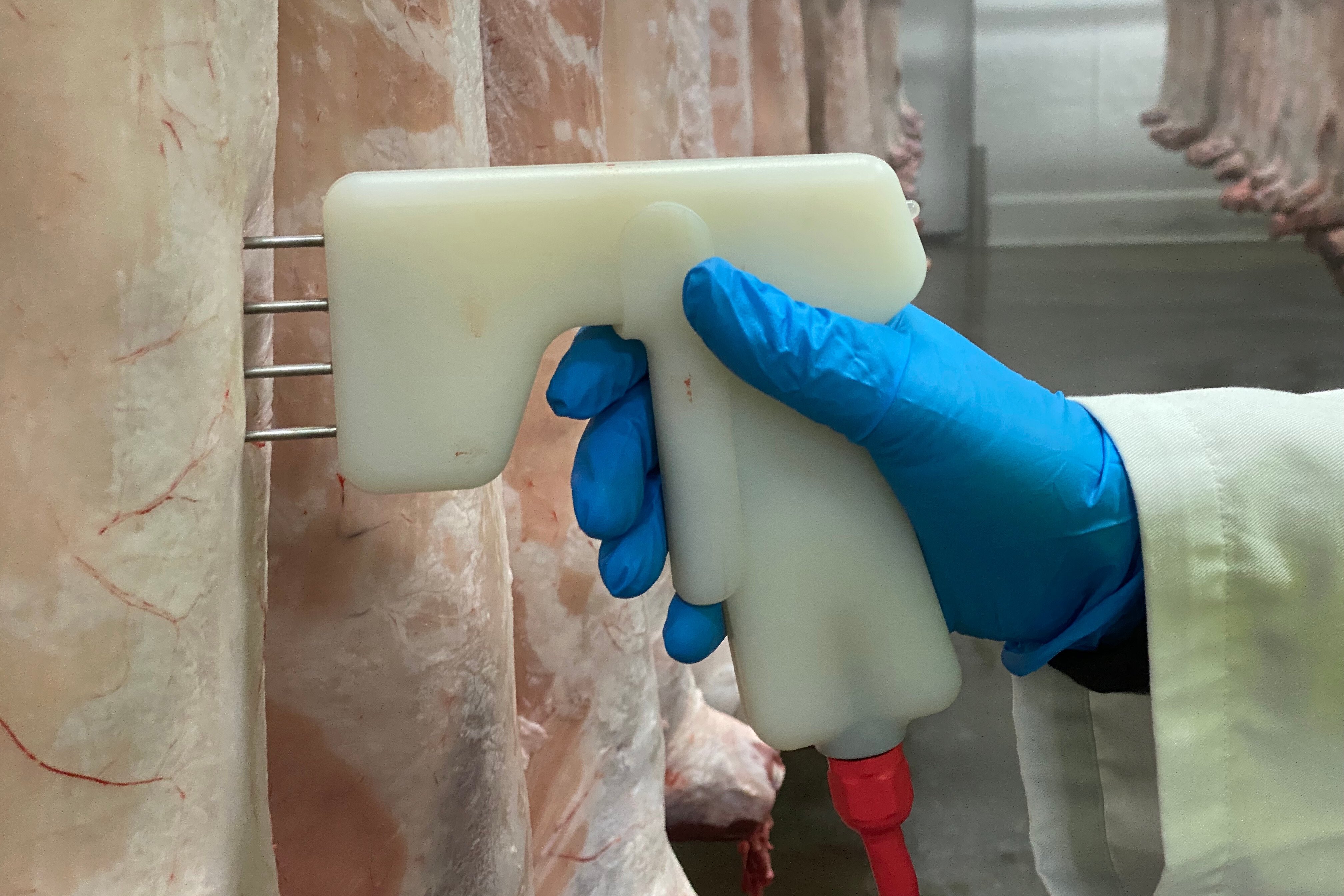 Image of a miniprobe in action, testing the quality of a meat through a white gun-like hand-held device with four probes.